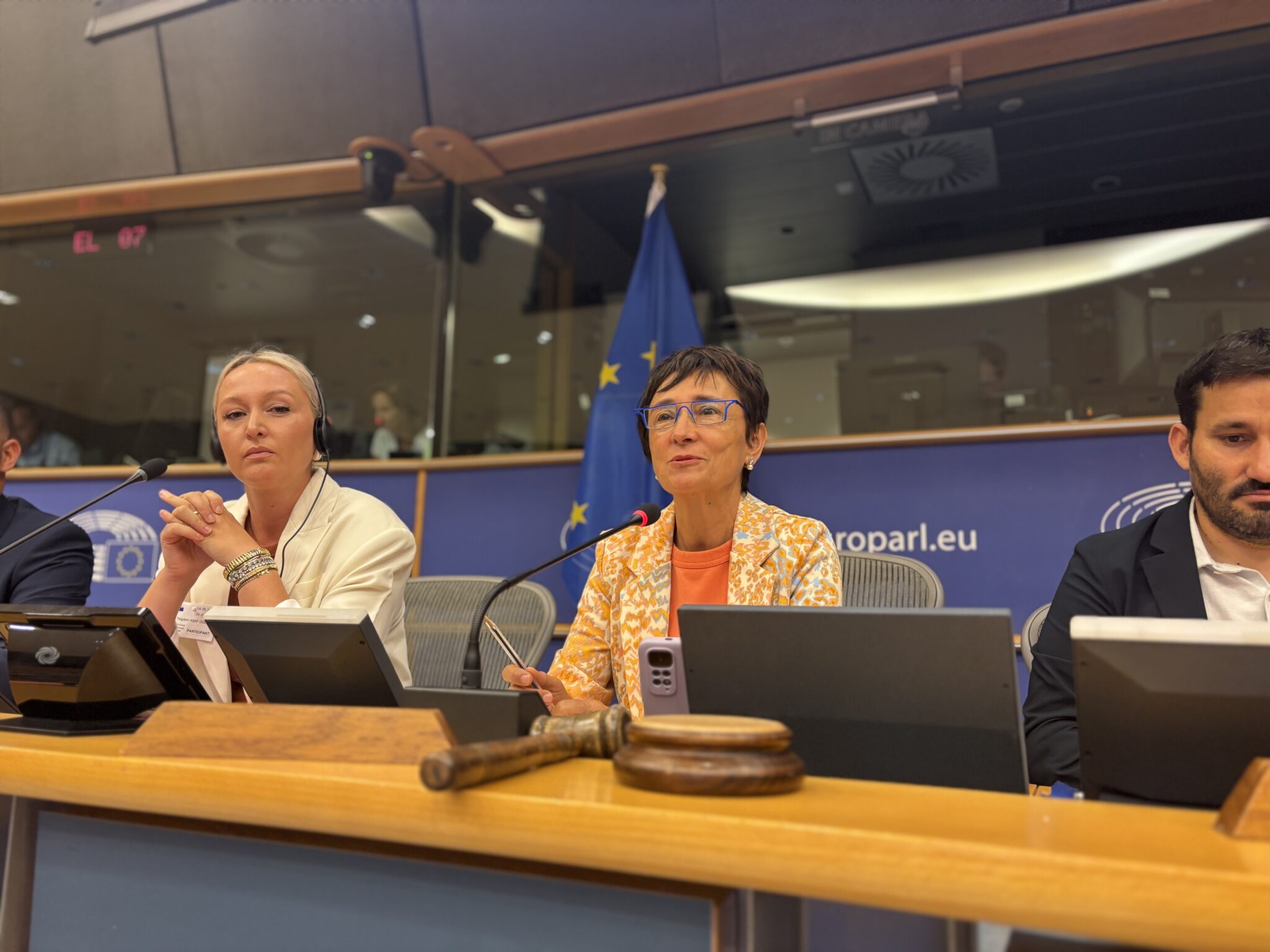 EFA calls attention to the importance of including minorities in political representation 